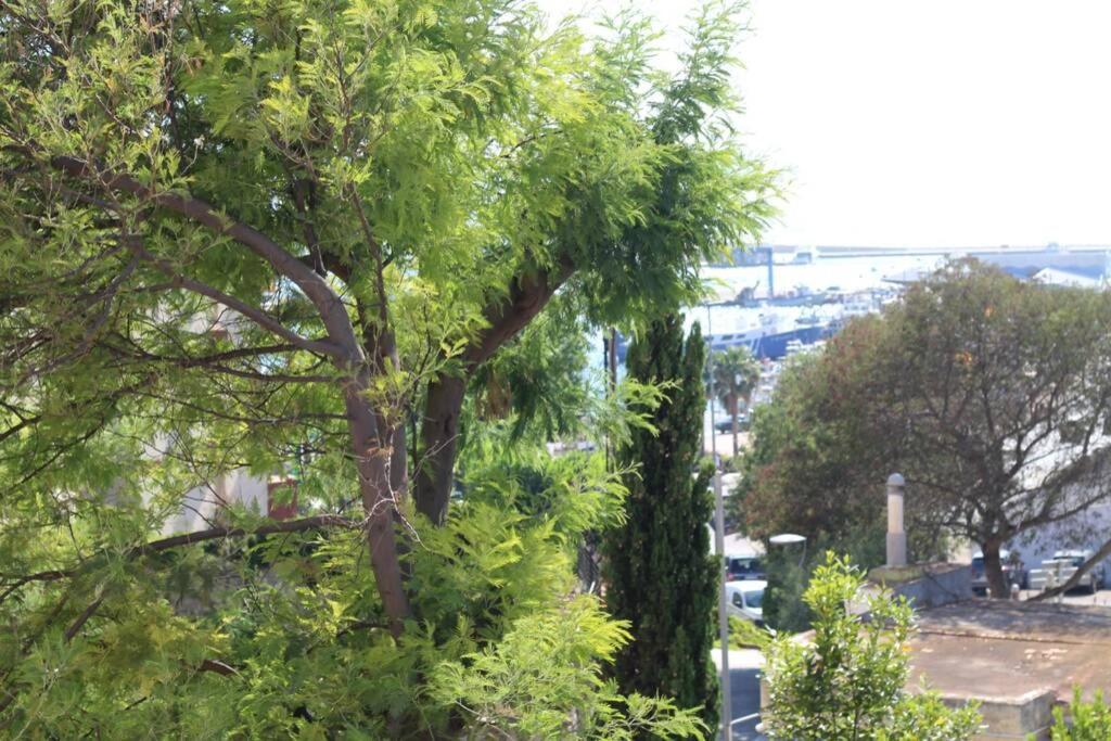 Apartament Junto Al Mar En Rosas, Puig Rom Nuevo, Wifi, Tranquilidad Zewnętrze zdjęcie